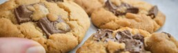 person reaching out for a chocolate chunk cookie from a cookie tray